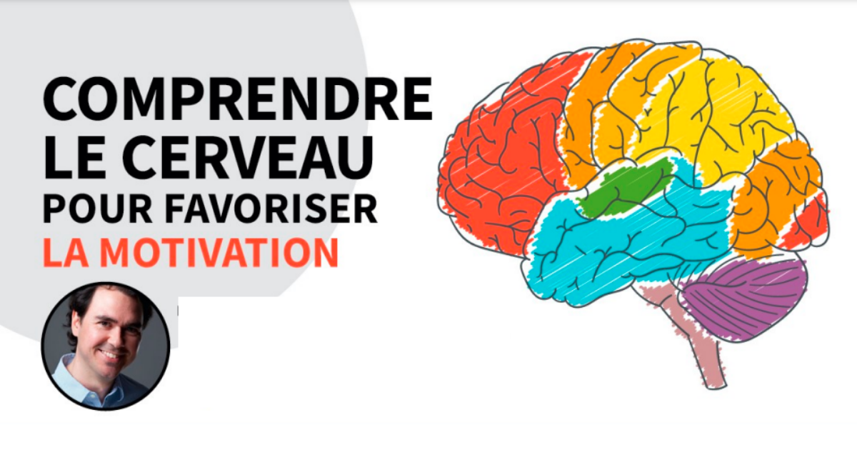 Infographie - Comprendre le cerveau pour favoriser la motivation