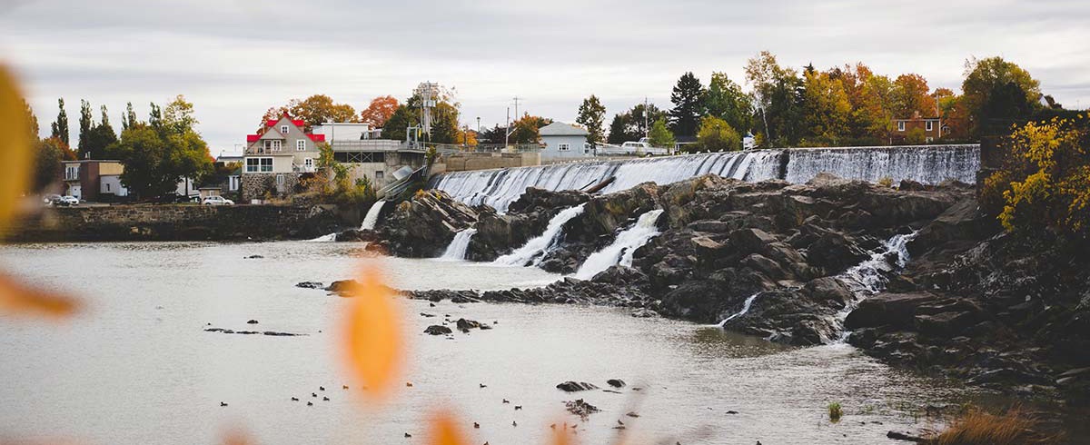 La nature de la région de Montmagny 